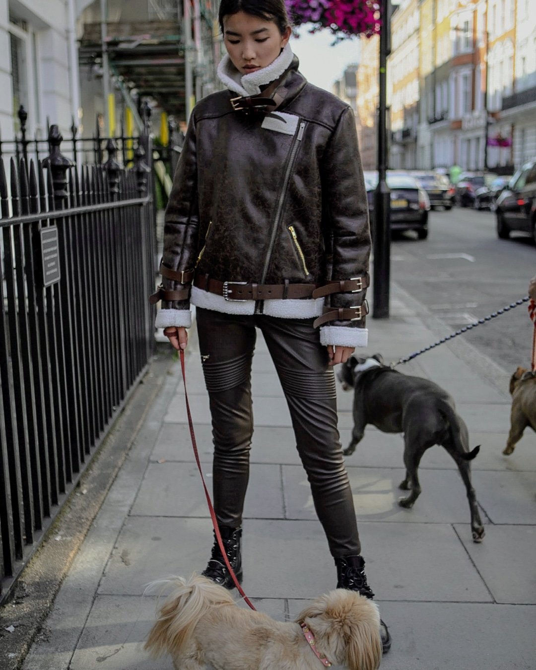 brown faux leather pants