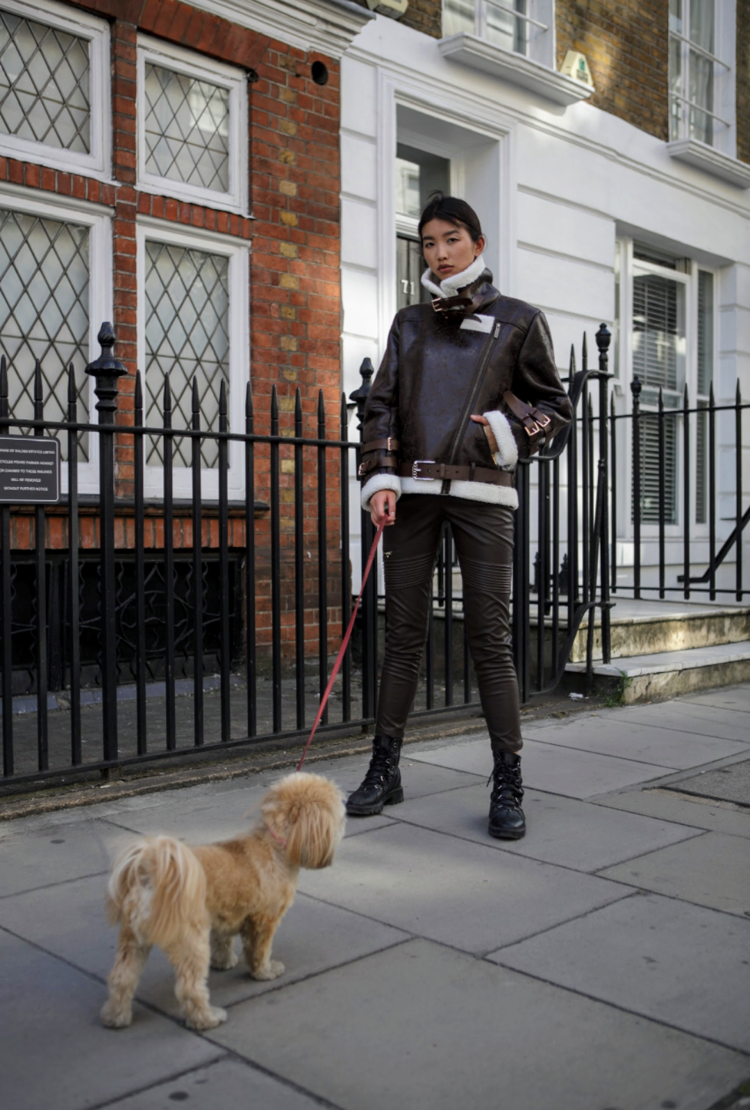 Brown Aviator Jacket