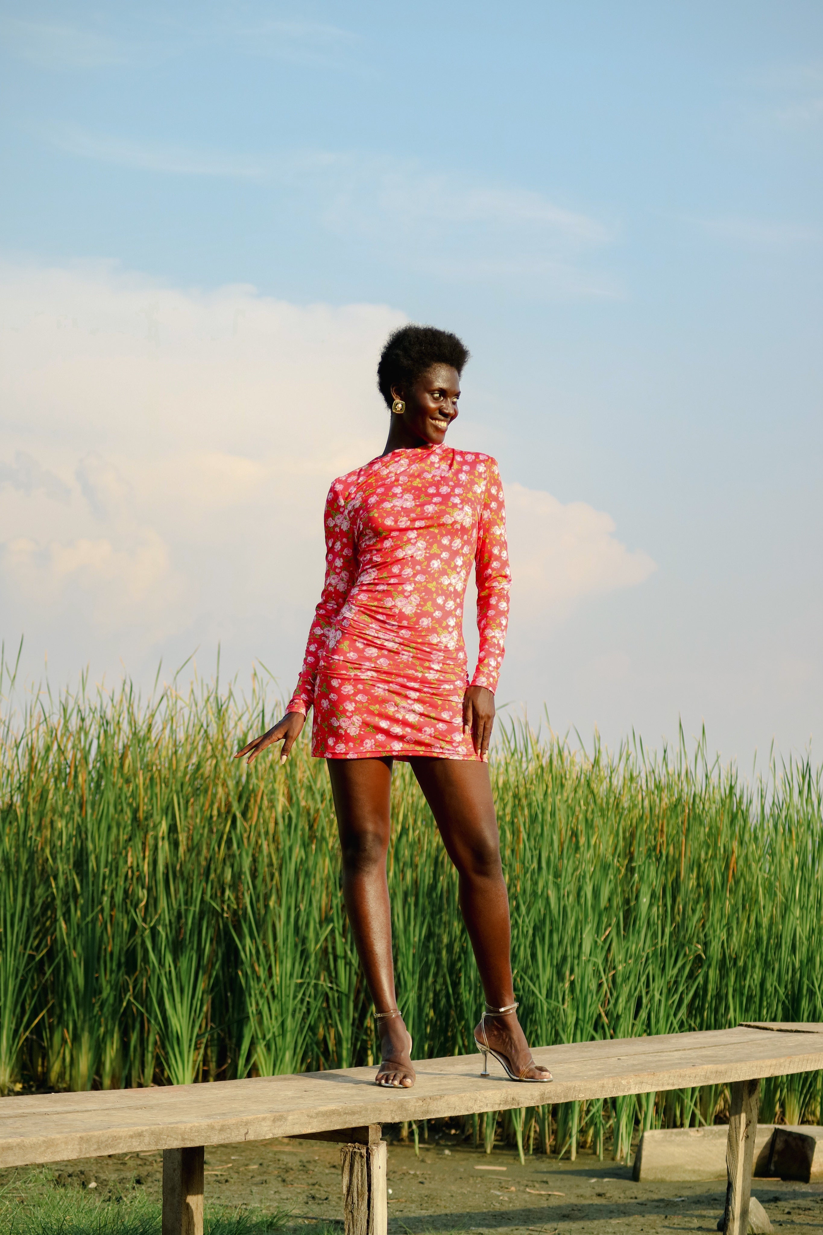 Sobacha Mini Dress
